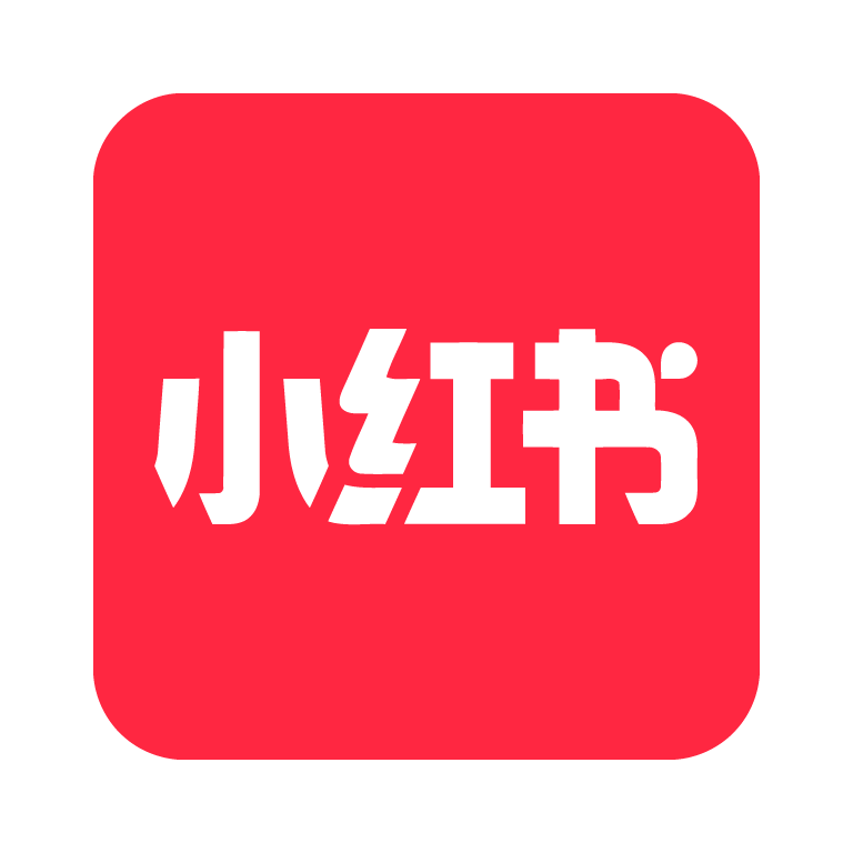小红书视频总结